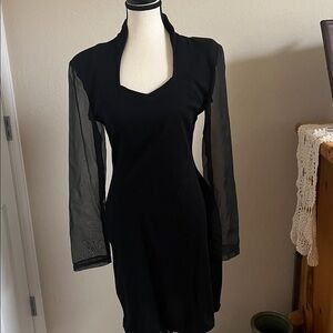 Elegant vintage Black Dress with Sheer Sleeves